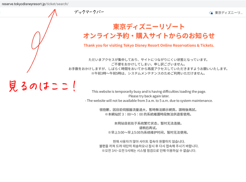 限定商品1枚限り りまる様専用 ディズニーランドeチケット お名前シール特典付 遊園地 テーマパーク Www Rustavi Gov Ge